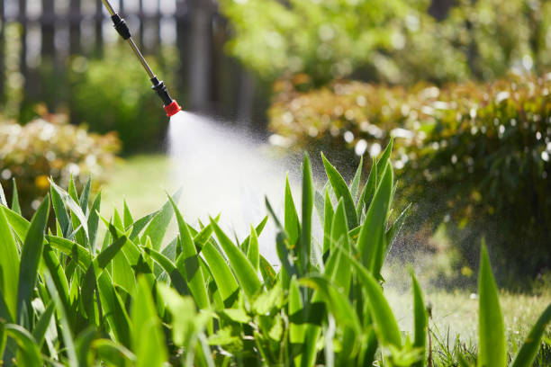 24/7 Emergency Mosquito Control experts in Fruit Cove, FL