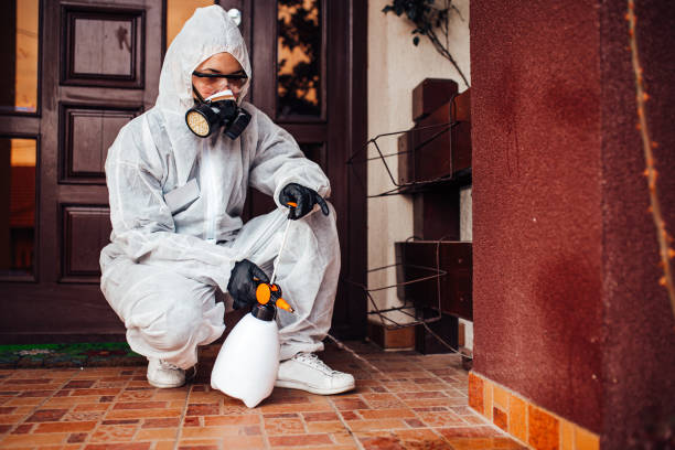 Reliable Mosquito Control contractor in Fruit Cove, FL by Show Me Pest Control